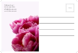 flowers-shop-postcard-7