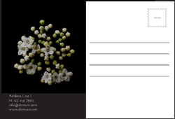 flowers-shop-postcard-7