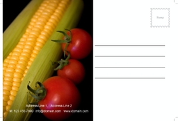 agriculture-postcard-9
