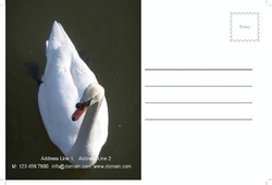 postcard-31