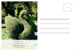 postcard-31
