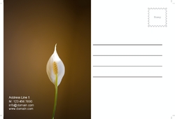 postcard-34