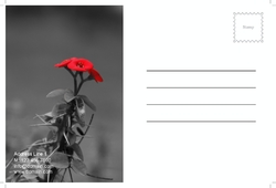 postcard-34