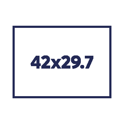 A3